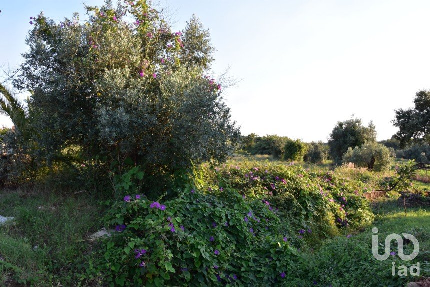 Terreno em Areias e Pias de 640 m²