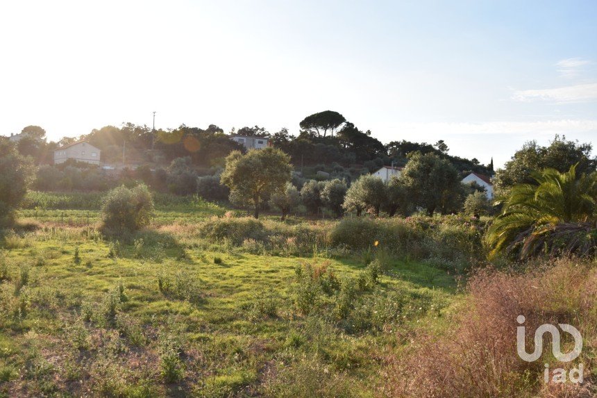 Terreno em Areias e Pias de 640 m²