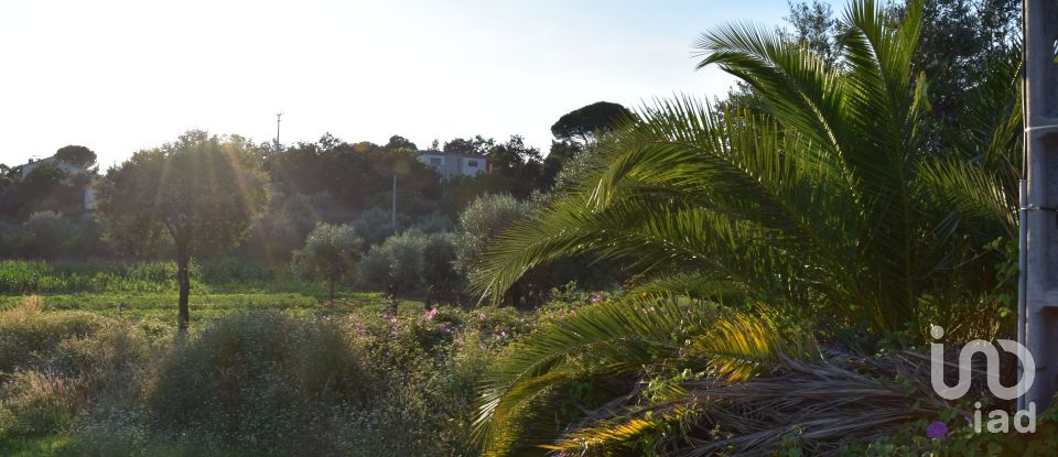 Terreno em Areias e Pias de 640 m²