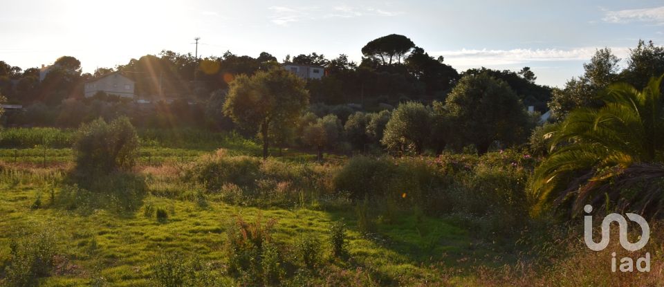 Terrain à Areias e Pias de 640 m²