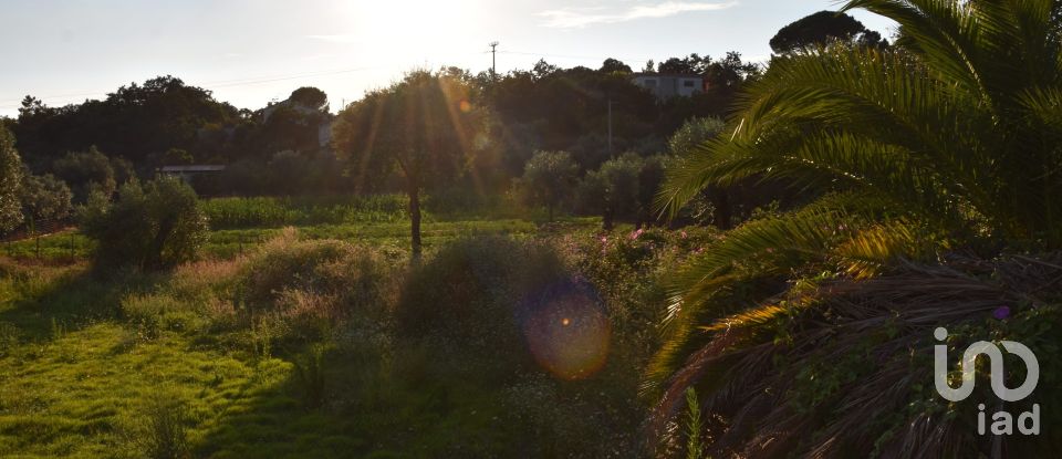 Terreno em Areias e Pias de 640 m²