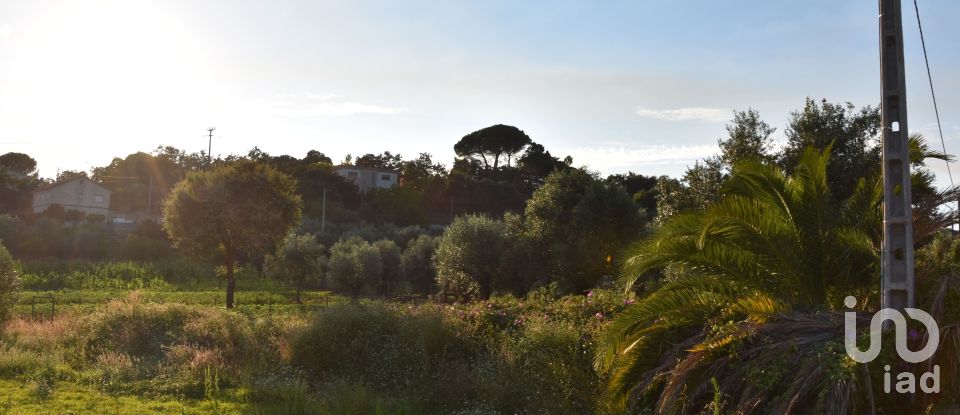 Terreno em Areias e Pias de 640 m²