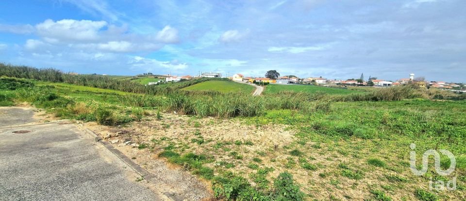 Land in Encarnação of 10,001 m²