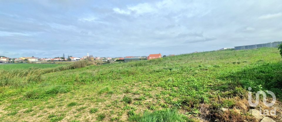 Land in Encarnação of 10,001 m²