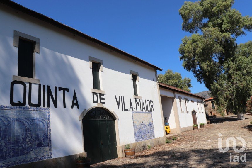 Ferme T3 à Cabeça Boa de 280 m²