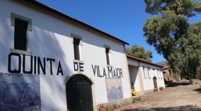 Quinta T3 em Cabeça Boa de 280 m²