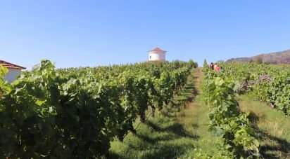 Ferme T3 à Cabeça Boa de 280 m²