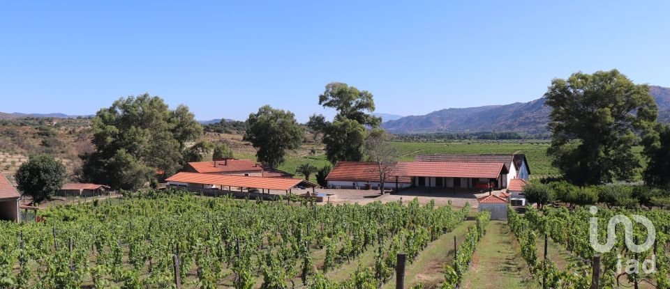 Farm T3 in Cabeça Boa of 280 m²