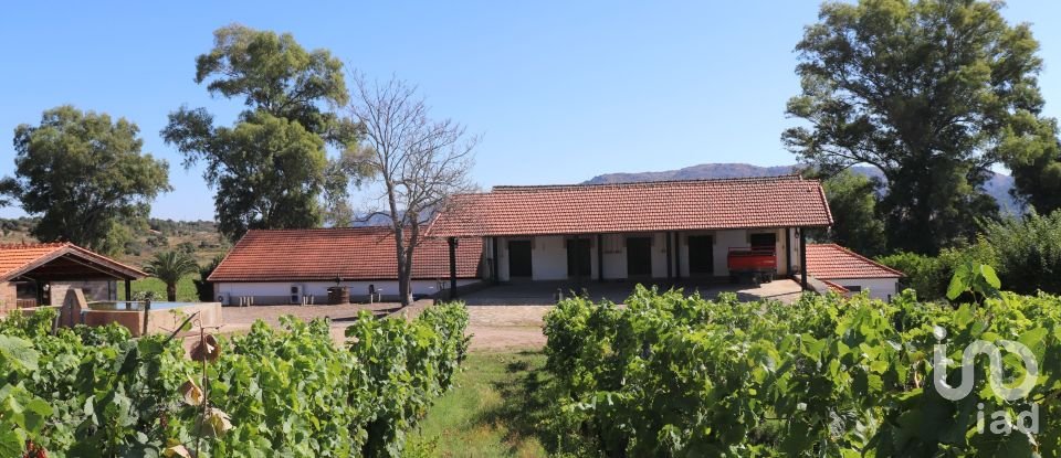 Farm T3 in Cabeça Boa of 280 m²