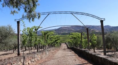 Ferme T3 à Cabeça Boa de 280 m²