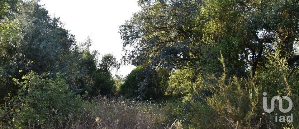 Land in Areias e Pias of 2,930 m²