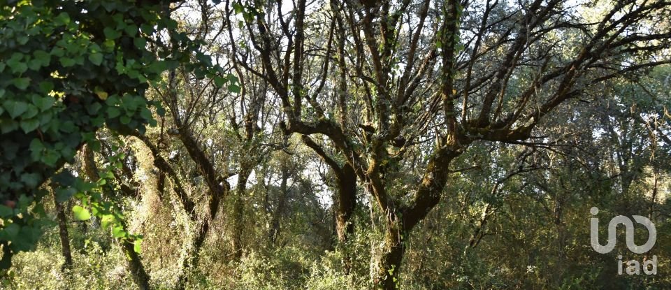 Terreno em Areias e Pias de 2 930 m²