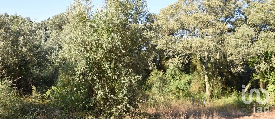 Land in Areias e Pias of 2,930 m²