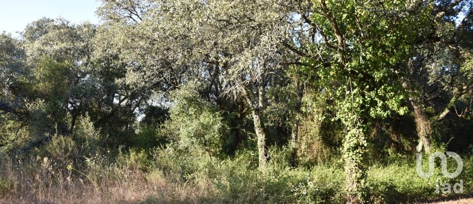 Land in Areias e Pias of 2,930 m²