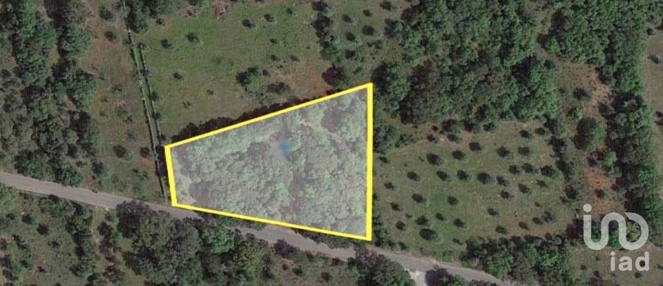 Land in Areias e Pias of 2,930 m²