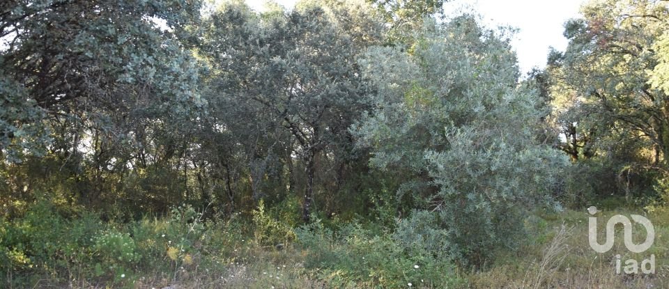 Land in Areias e Pias of 2,930 m²