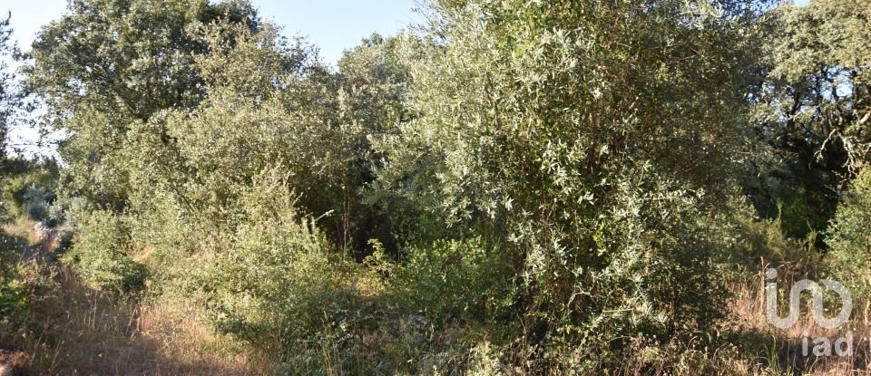 Land in Areias e Pias of 2,930 m²