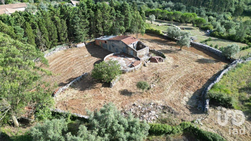 Terreno em Condeixa-a-Velha e Condeixa-a-Nova de 1 360 m²