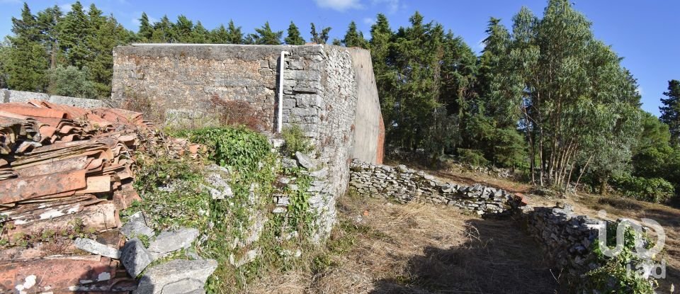 Terrain à Condeixa-a-Velha e Condeixa-a-Nova de 1 360 m²