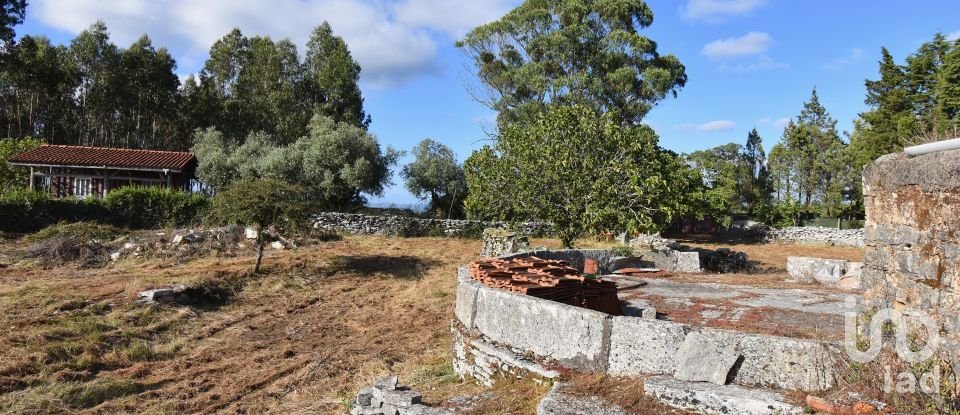 Terrain à Condeixa-a-Velha e Condeixa-a-Nova de 1 360 m²