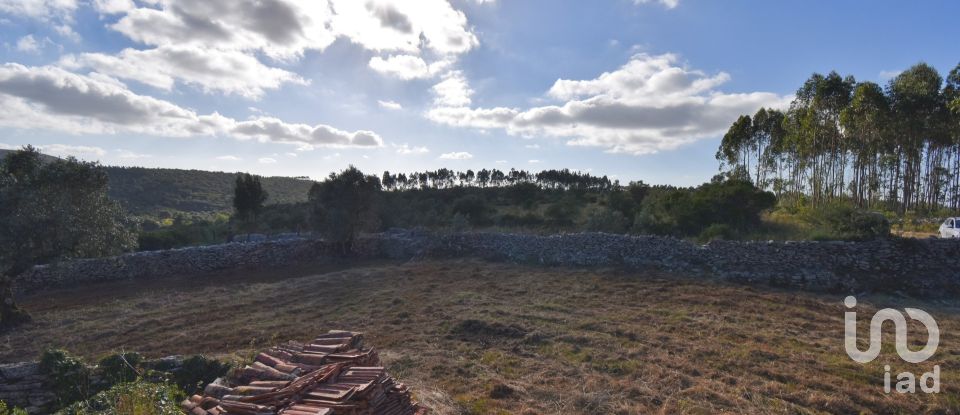 Terreno em Condeixa-a-Velha e Condeixa-a-Nova de 1 360 m²