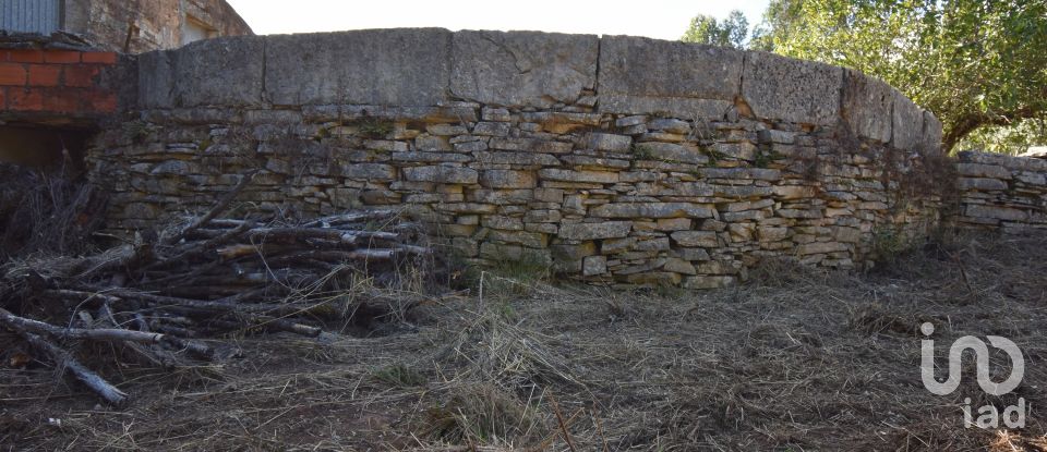 Terreno em Condeixa-a-Velha e Condeixa-a-Nova de 1 360 m²