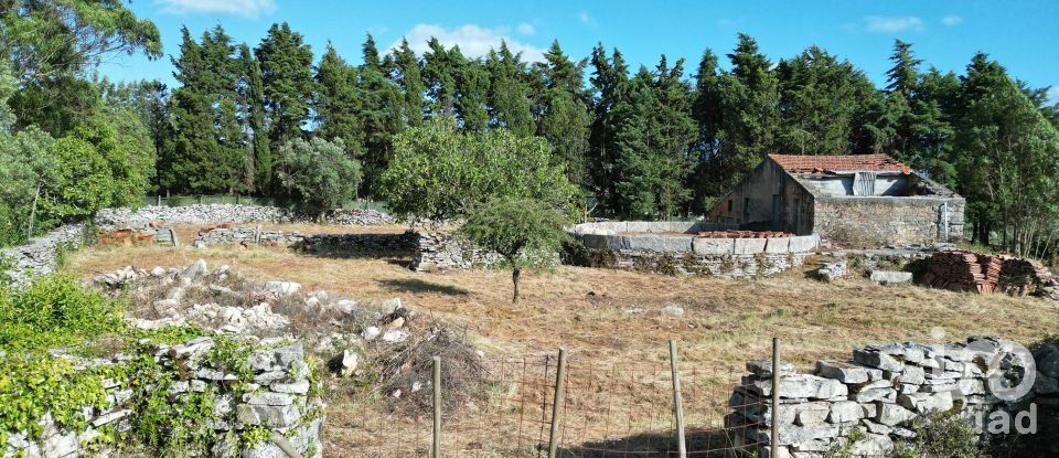 Terreno em Condeixa-a-Velha e Condeixa-a-Nova de 1 360 m²