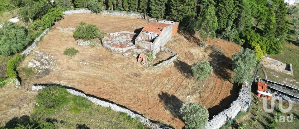 Terreno em Condeixa-a-Velha e Condeixa-a-Nova de 1 360 m²