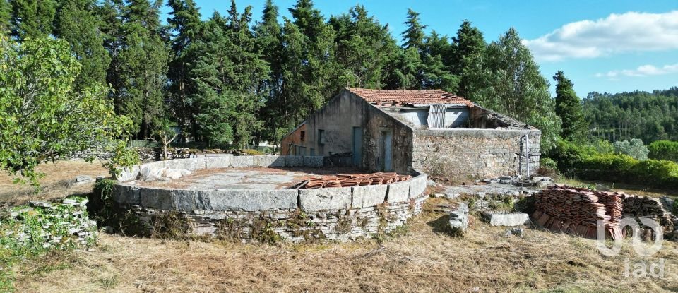 Terreno em Condeixa-a-Velha e Condeixa-a-Nova de 1 360 m²