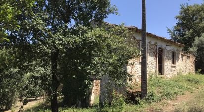 Ferme T6 à Chãos de 650 m²