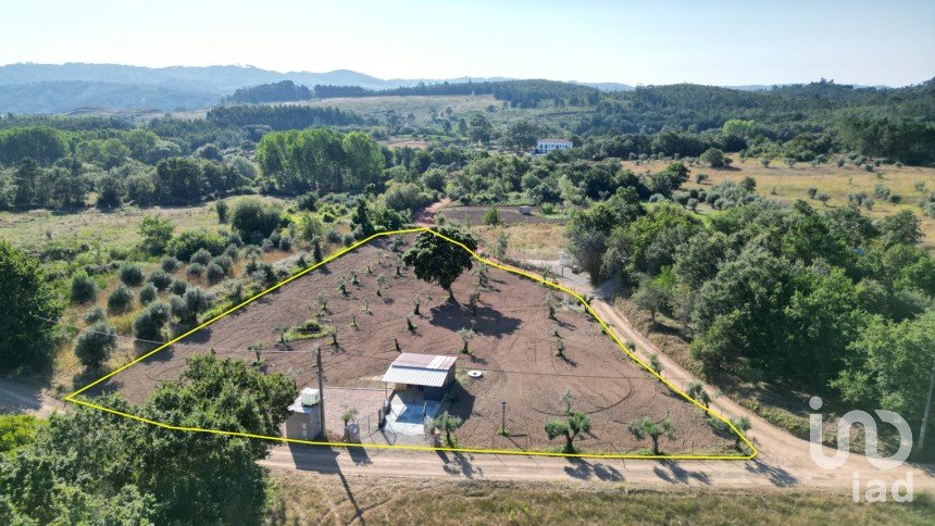 Terreno Agrícola em Espinhal de 3 948 m²