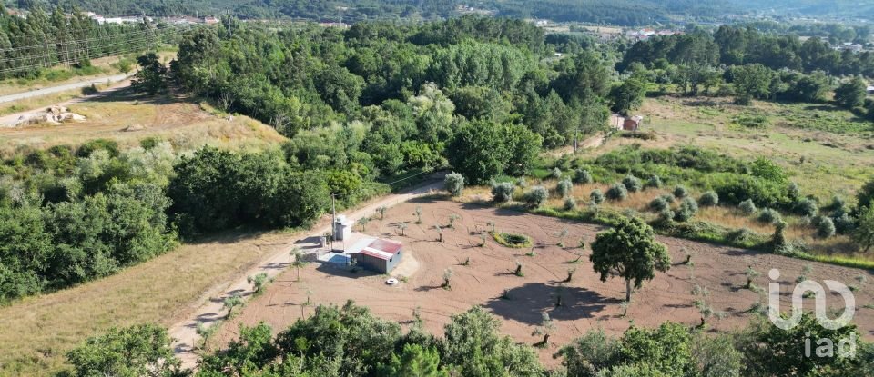 Terrain agricole à Espinhal de 3 948 m²