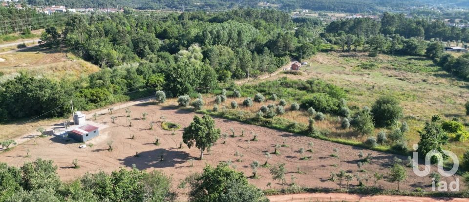 Terreno Agrícola em Espinhal de 3 948 m²