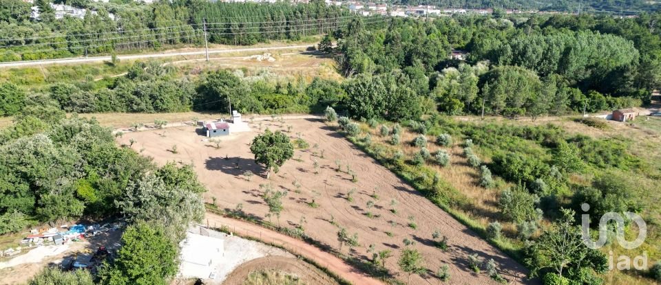 Terreno Agrícola em Espinhal de 3 948 m²