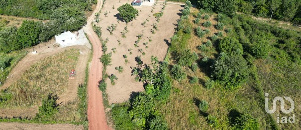 Terreno Agrícola em Espinhal de 3 948 m²