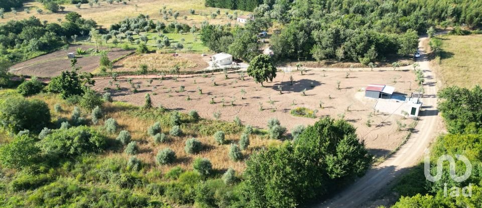 Terrain agricole à Espinhal de 3 948 m²