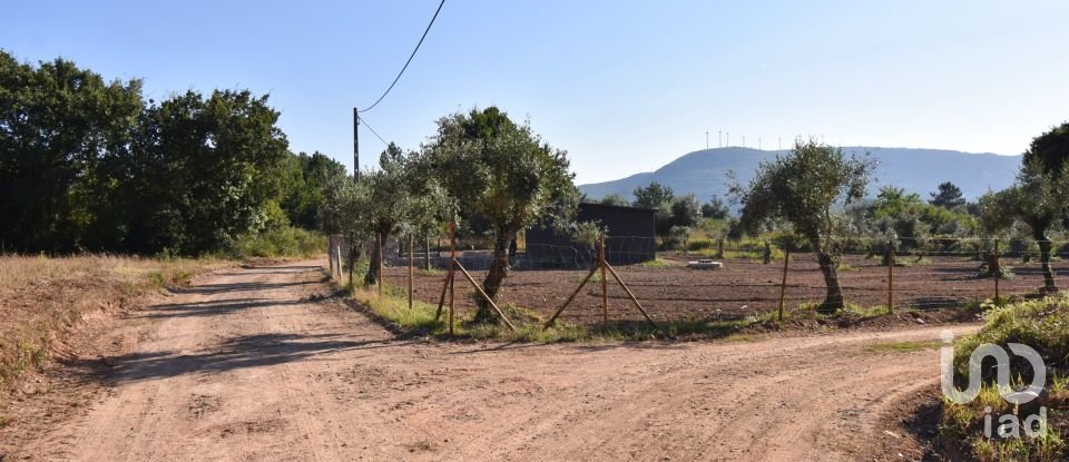 Terrain agricole à Espinhal de 3 948 m²