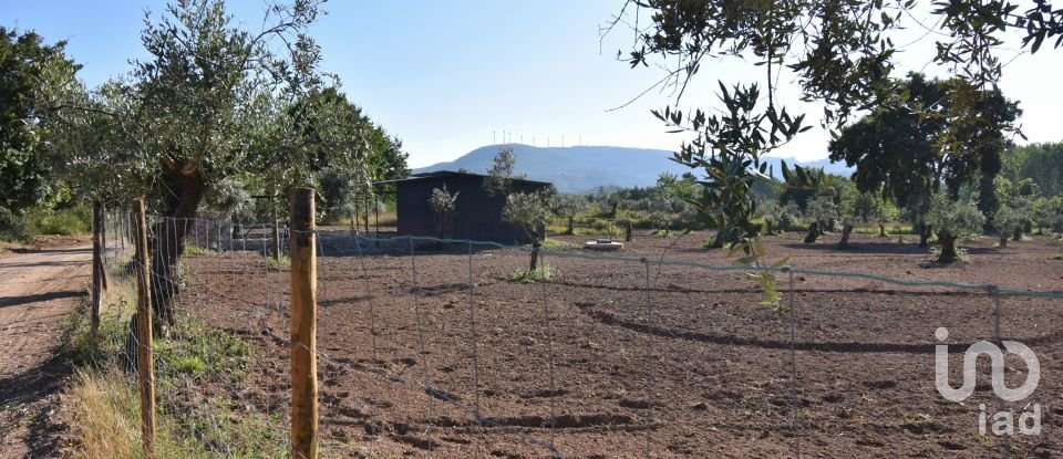 Terrain agricole à Espinhal de 3 948 m²