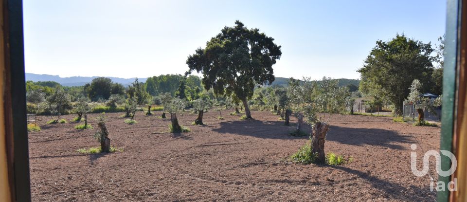 Agricultural land in Espinhal of 3,948 m²