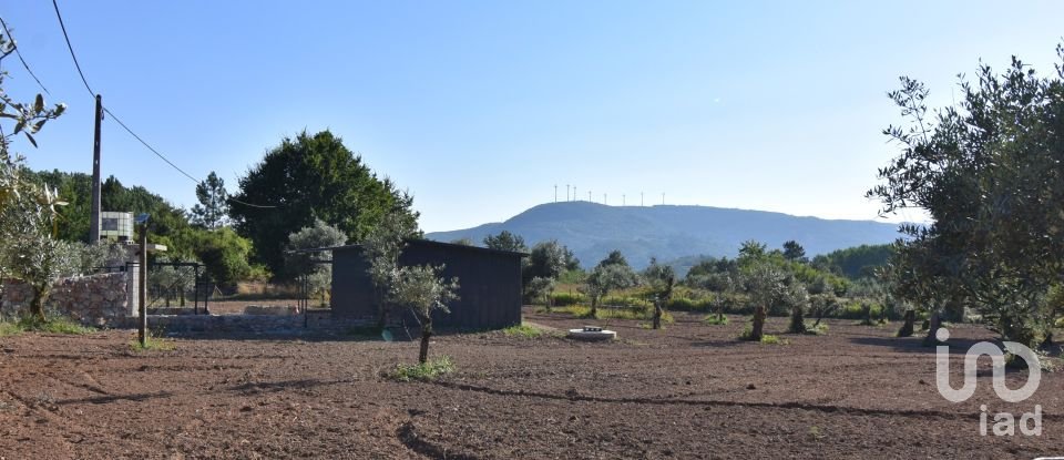 Terreno Agrícola em Espinhal de 3 948 m²