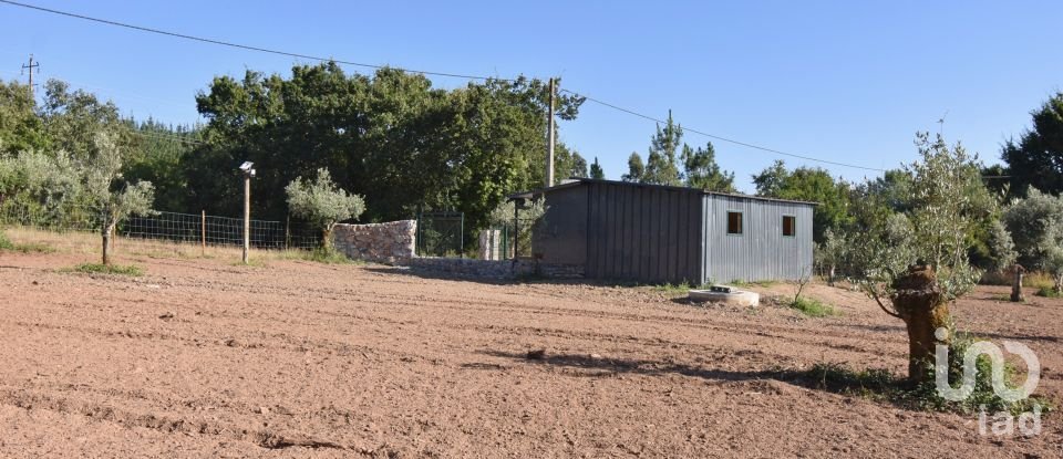 Terreno Agrícola em Espinhal de 3 948 m²