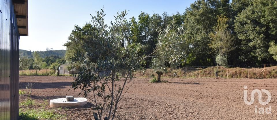 Terreno Agrícola em Espinhal de 3 948 m²