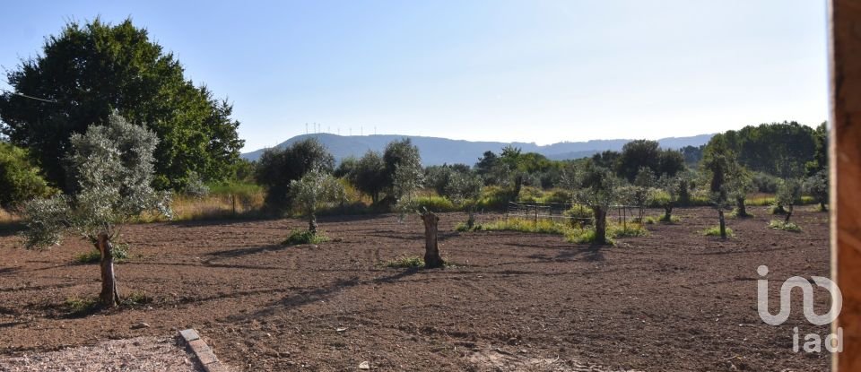 Terrain agricole à Espinhal de 3 948 m²