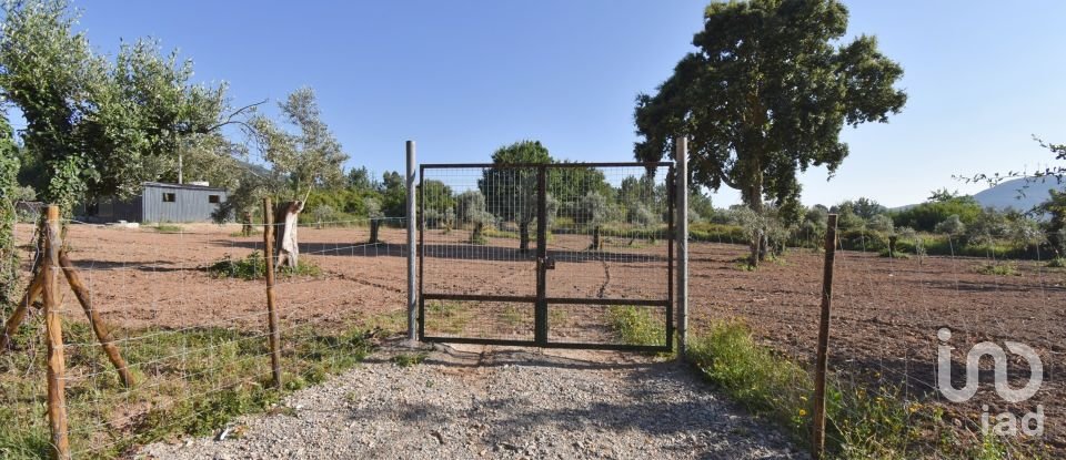 Agricultural land in Espinhal of 3,948 m²