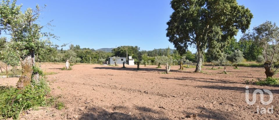 Terreno Agrícola em Espinhal de 3 948 m²