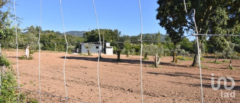 Terreno Agrícola em Espinhal de 3 948 m²