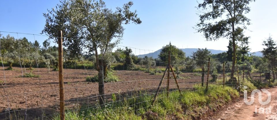 Terrain agricole à Espinhal de 3 948 m²