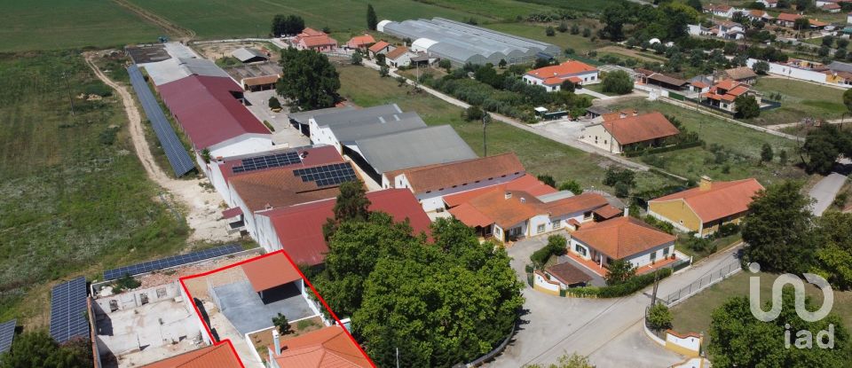 House T4 in São Pedro de Tomar of 195 m²