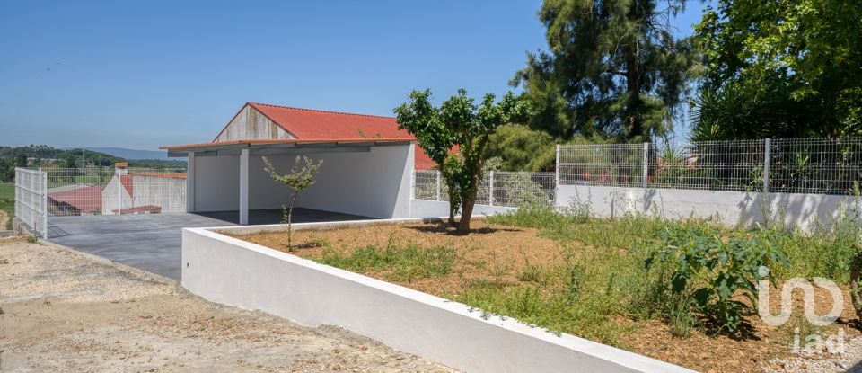 House T4 in São Pedro de Tomar of 195 m²