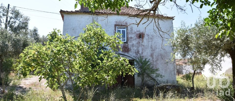 Casa de aldeia T3 em Madalena e Beselga de 120 m²